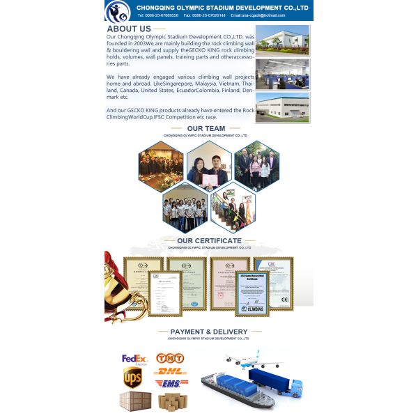 Детская скалолазание Стенка для помещений спортивного зала