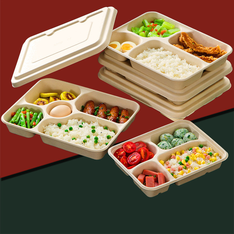 Бумажная тарелка волокна сахарного тростника багассы Compostable с рассекателями