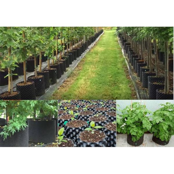 Бак корня воздуха PVC Eco дружелюбный провентилированный 0.5mm подрезая для засаживать семени