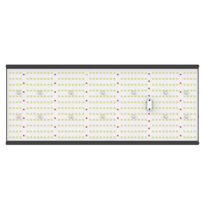 Aluminum Black LED Grow Light With 576 White LEDs And 46 Deep Red LEDs