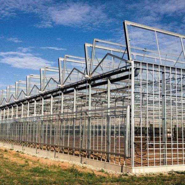 Temperature Resistance Glass Tomato Greenhouse Nursery Greenhouse OEM ODM