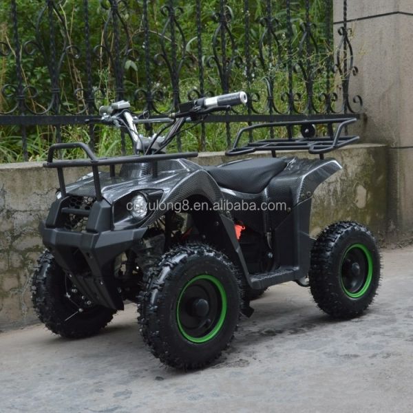 800w Mini Electric ATV for Kids and Adults Small Off-road Electric Quad Bike ATV