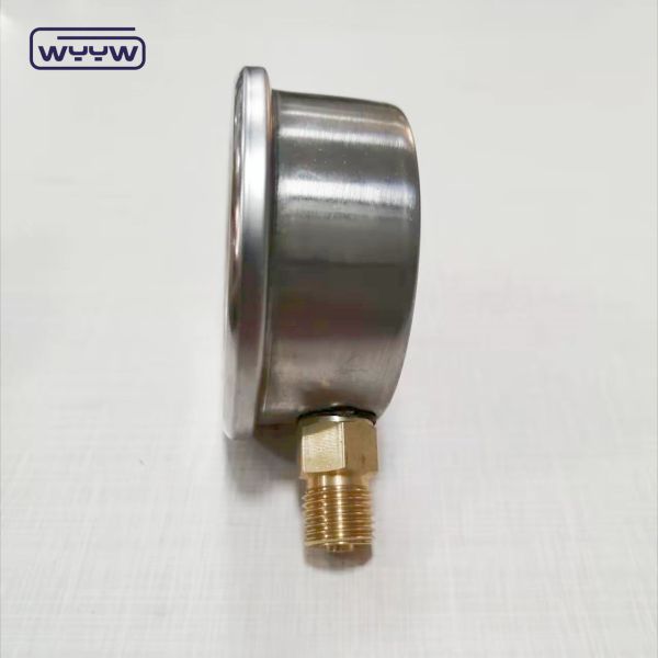 China manufacturer stainless steel 1/4bsp glycerin pressure gauge 16 bars