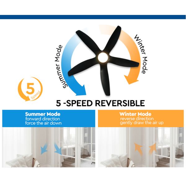 led ceiling fan fã de teto 60inch de baixo nível de ruído 38W com controlo a distância bem escolhido de 5 velocidades