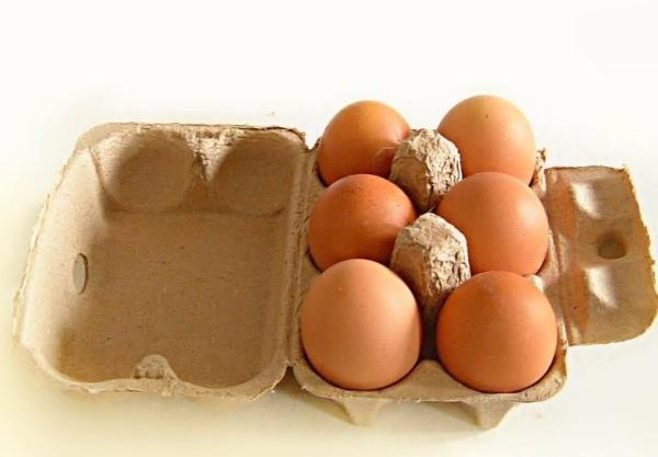 Paper Fruit Apple Tray Making Machine Egg Tray Machine Egg Carton Making Machine Pulp Molding Machine With Life Long Maintence