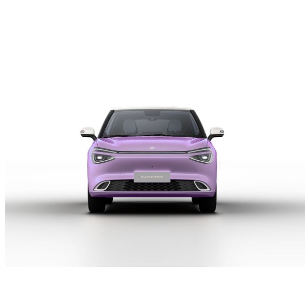 Max Smart Energy Vehicle Dongfeng Nami 01 2024 430 with 4030*1810*1570 Body Structure
