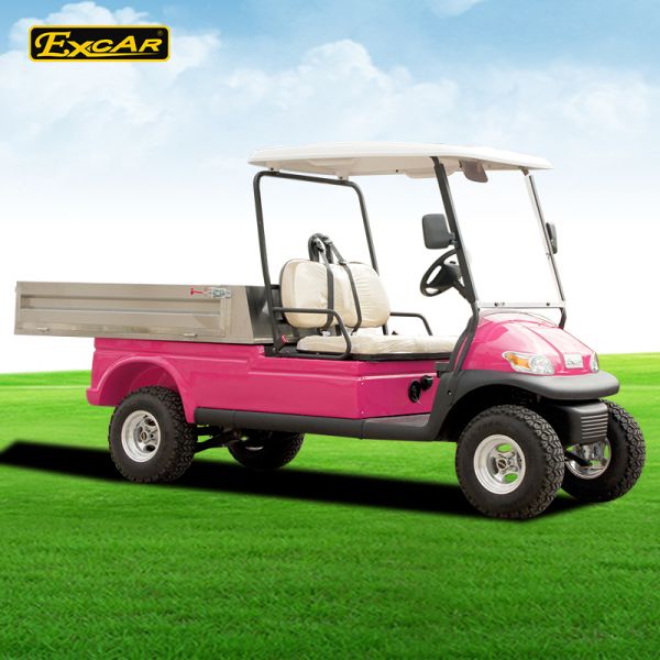 Contrôleur électrique 3700W de Curtis de véhicule de golf de batterie Trojan ouverte de cargaison de rose