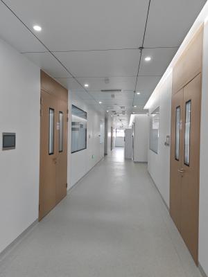 Wooden Grain Steel Double Cleanroom Swing Door Hospital Metal Doors With Glass Vision