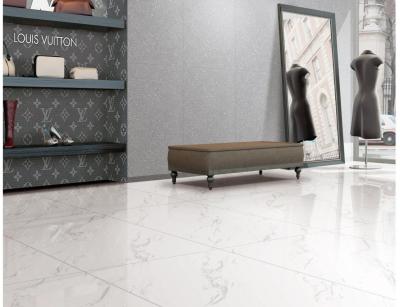 plancher de tuiles de porcelaine de corps de l'épaisseur 600x600mm de 9.8mm plein Carrare Matt Marble blanc