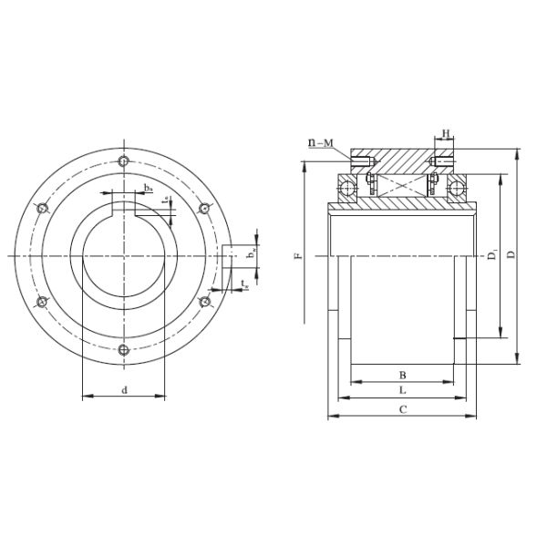 Sprag Overload Clutch and for Mounting Example Outer Diameter 100-310mm