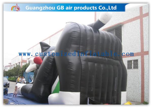 Black Cat Big Water Slides , Commercial Water Slides For Backyard Kids Sliding