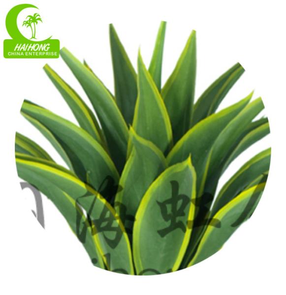 Planta suculento artificial estética de H60cm para a decoração da casa