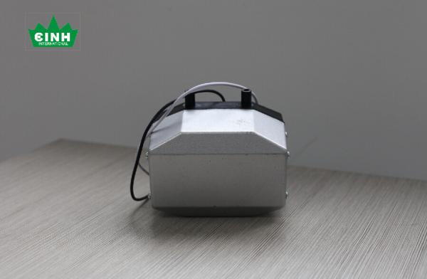 AC 24V Vacuum Micro Air Pump Applying For Beauty Equipment  with 15L/m 30KPA