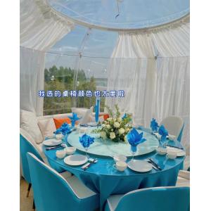 Programmable Dining Bubble Tent Starry Sky Outdoor Ho Simple Configuration