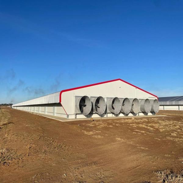 Prefab Light Steel Chicken House Shed Poultry Farm Building