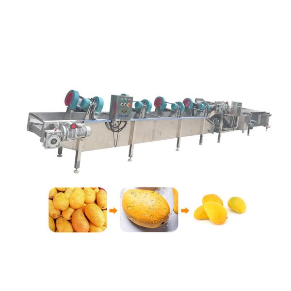 Vegetable Washing and Drying Machine Fresh Fruit Vegetable Processing Units Low Consumption High Efficiency Dried Products 5.1KW