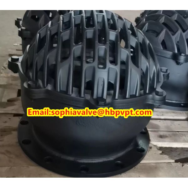 BS4504 flange grey iron valve cover foot valve
