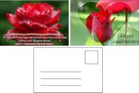 Changer des photos en 3D anniversaire de mariage carte de mariage Impression 3D Images