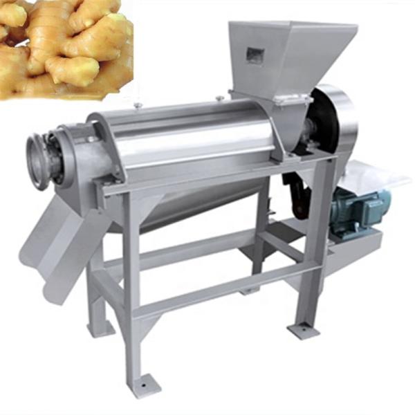 Machine de fabrication de jus de fruits de haute qualité pour le commerce Machine d'extraction de jus industrielle