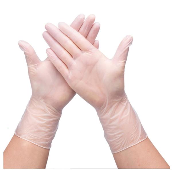 Clear Latex Free Powder Free Vinyl Gloves Waterproof
