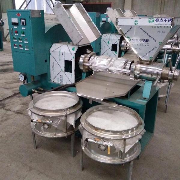 Cold Peanut Oil Press Machine Olive Oil Mill Making Pressing Coconut oil pressers Extracting Machine