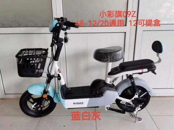 Dois trotinette elétrico de 2 rodas rodas de 14 polegadas para os adultos 48v 500w 12Ah