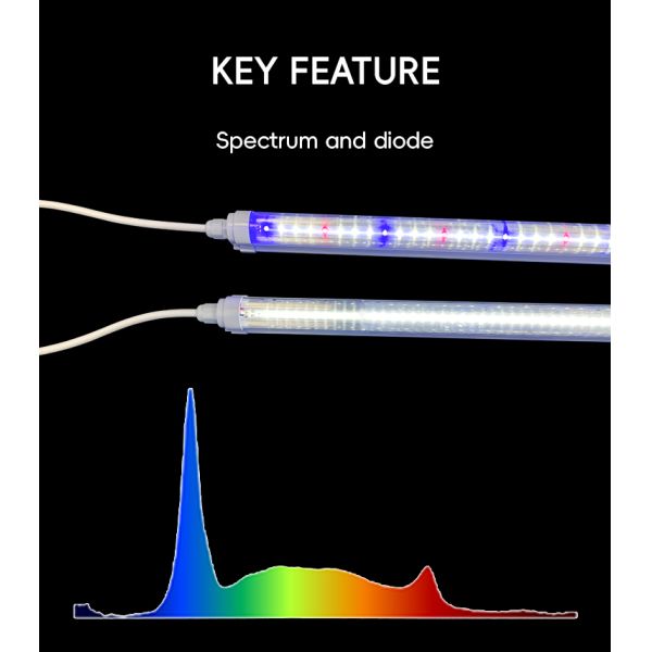 4 Foot T8 Grow Lights 1.2M 18W 25W 36W Red Blue LED Plant Grow Light