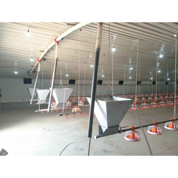 Линия питания птицы Odm цыплят автомата питания