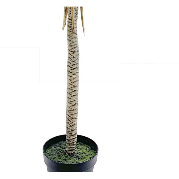 Greenery Sago Palm Single Pole 	Artificial House Plants 122 CM 152 CM 180 CM