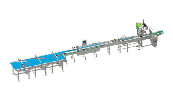 Automatic Material Sorting and Packaging Line
