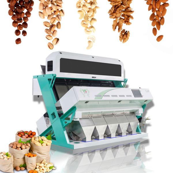 High Speed Automatic Peeled CCD Color Sorter Machine GARLIC Clove Color Sorting Machine