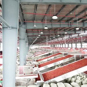 ODM SGS Fruit Vegetable Processing Line Multilayer Drying And Cleaning