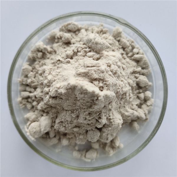 Wholesale Ebony Powder/Dark Plum Fruit Powder In Bulk