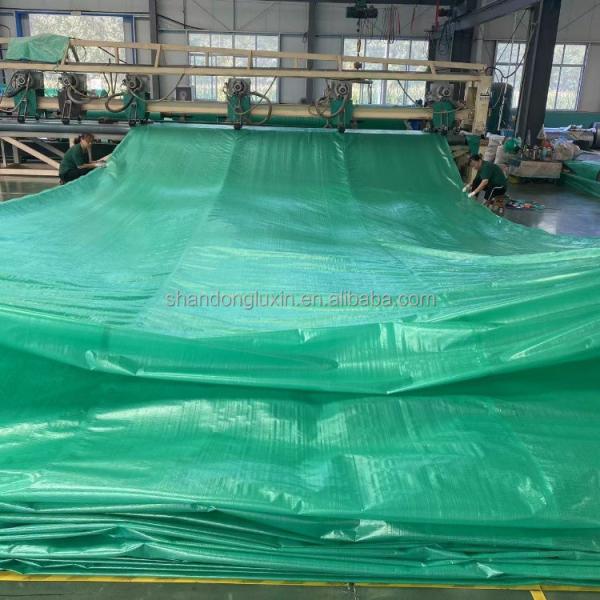 Lightweight PE Tarpaulin for Truck Cover Protect Your Truck from Harsh Elements