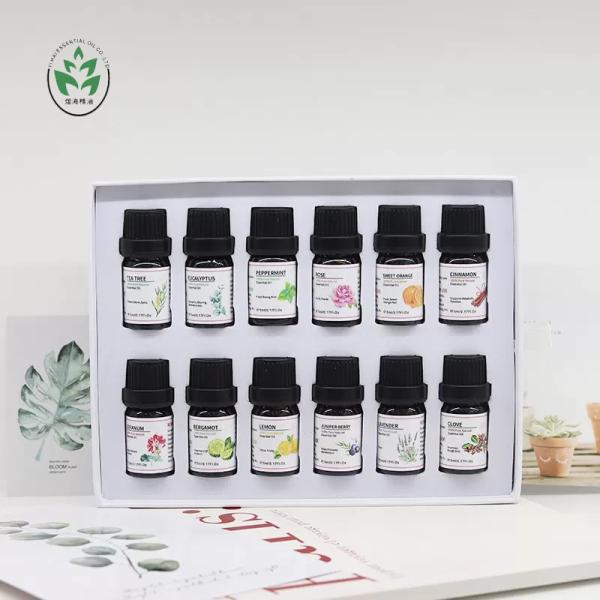 100% Pure Natural OEM Essential Oil Organic Geranium Essential Oil 10ml