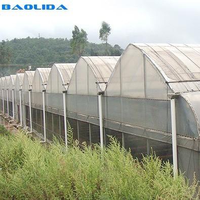 Estufa do período da coberta múltipla vegetal da folha do filme plástico do túnel multi