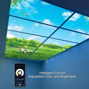 Commercial LED Lights