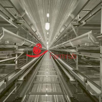 High Standards Layer Chicken Cage System with Double Water Line