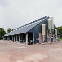 Light Steel Cow Farm Shed Prefab Livestock Farm Building