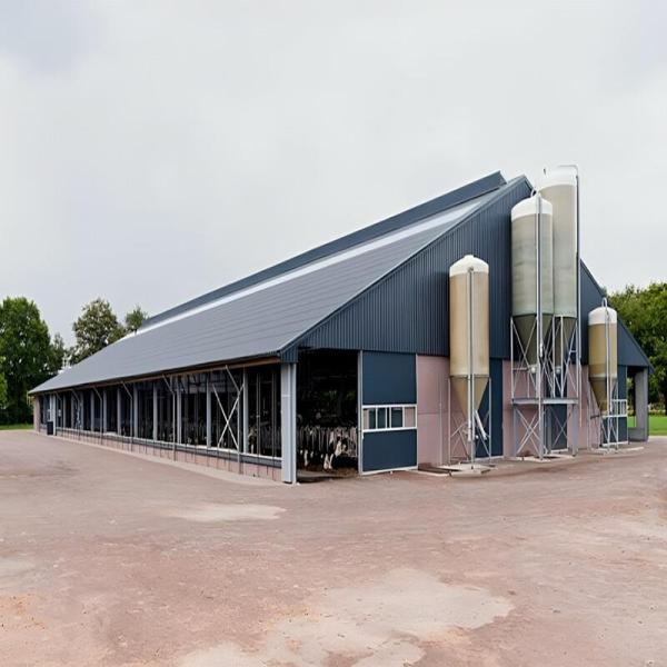 Light Steel Cow Farm Shed Prefab Livestock Farm Building