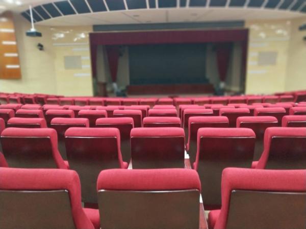 Cushion Folding Theater Seats With Strong Aluminum Feet / Audience Seating Chairs