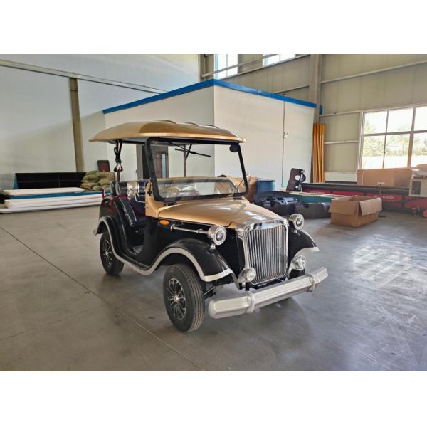 6-8 мест Электрический старинный автомобиль Литий Эволюция Оздоровительный Автомобиль Фабрика оптовая цена