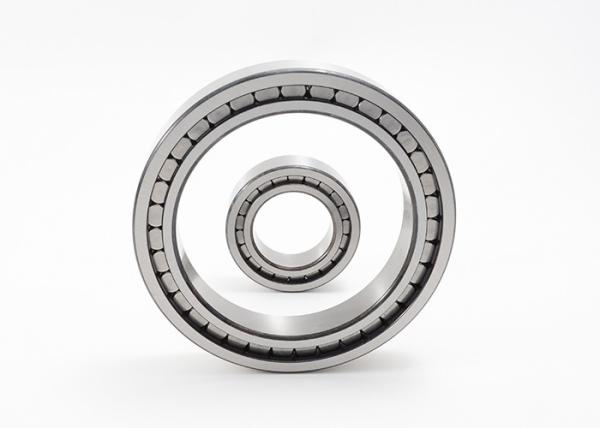 Full Complement Single Row Roller Bearing SL183020 SL183012 SL183036