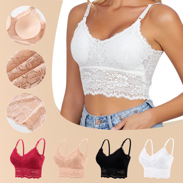 Women Lace Bra High Quality Lace Undergarments S-XL Sizes Available Multi-Colors Women Underpants Wholesale Sourcing Bra