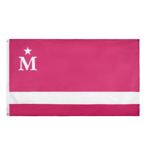 Fade Resistant Pink M 70g Polyester Rectangle Banner Flags 90x150cm