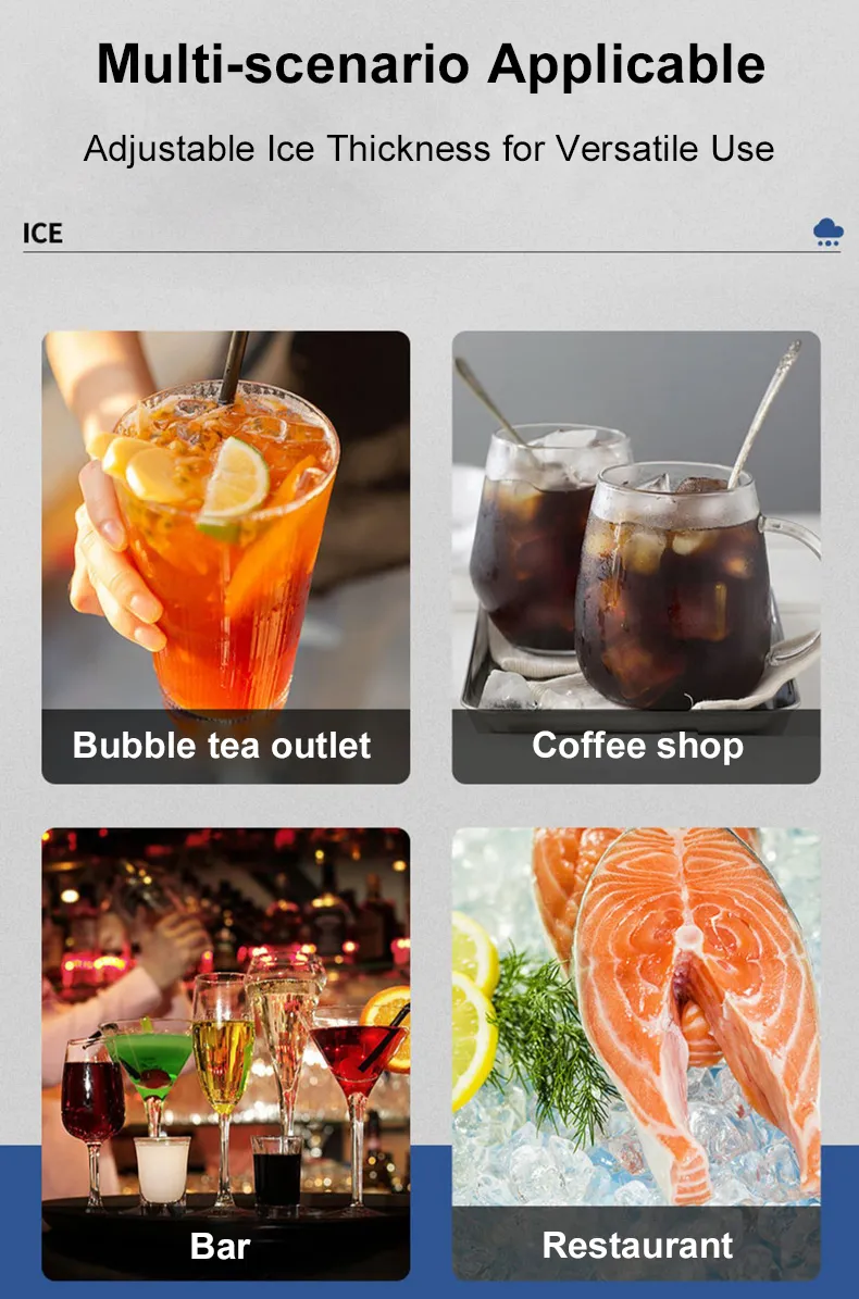 Stainless Steel Industrial Flake Ice Machine Automatic Flake Ice Maker Machine 220V