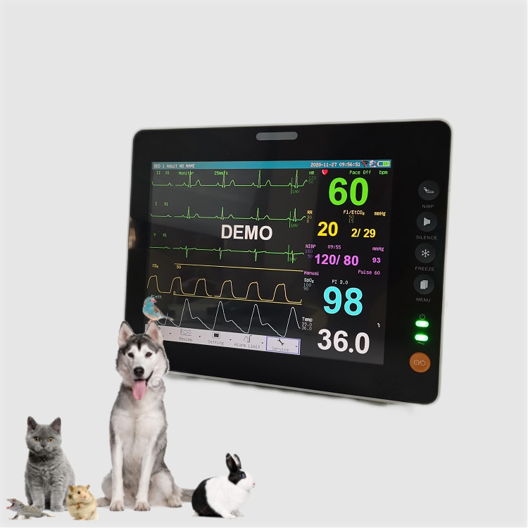 8 Inch Vital Signs Monitor Durable Mini Size TFT Display Veterinarian Handheld Animal Monitor Use Vital Signs