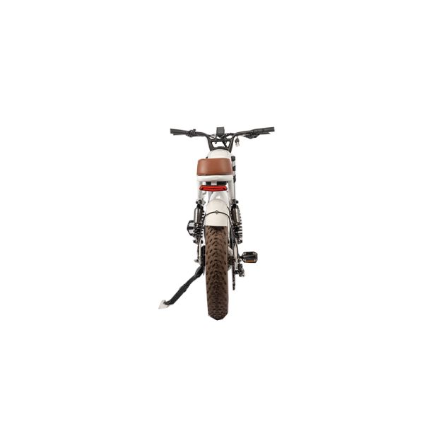 Retro Vintage E-Bike with 500W Bafang Rear Hub Motor Electric Bike OEM Wholesales Bike