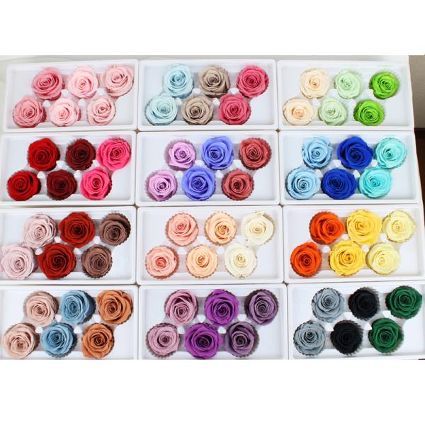 6pcs Long Lasting Diameter 5-6cm Preserved Flower Heads
