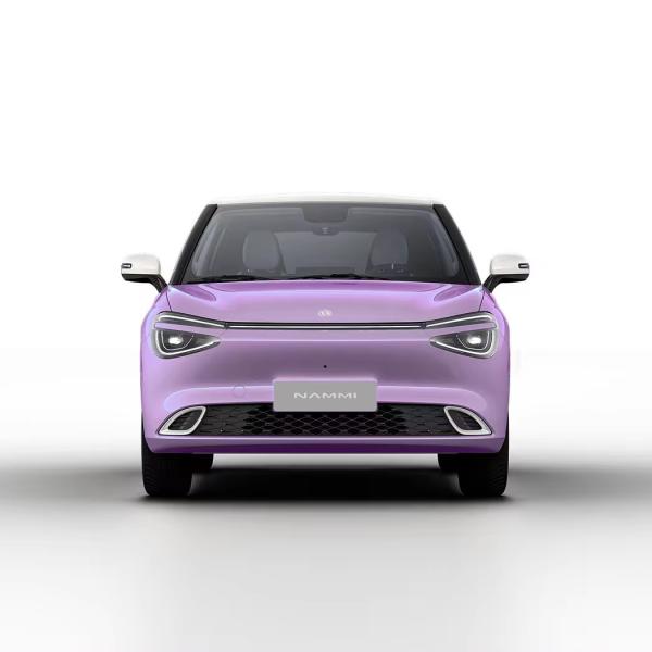 Max Smart Energy Vehicle Dongfeng Nami 01 2024 430 with 4030*1810*1570 Body Structure
